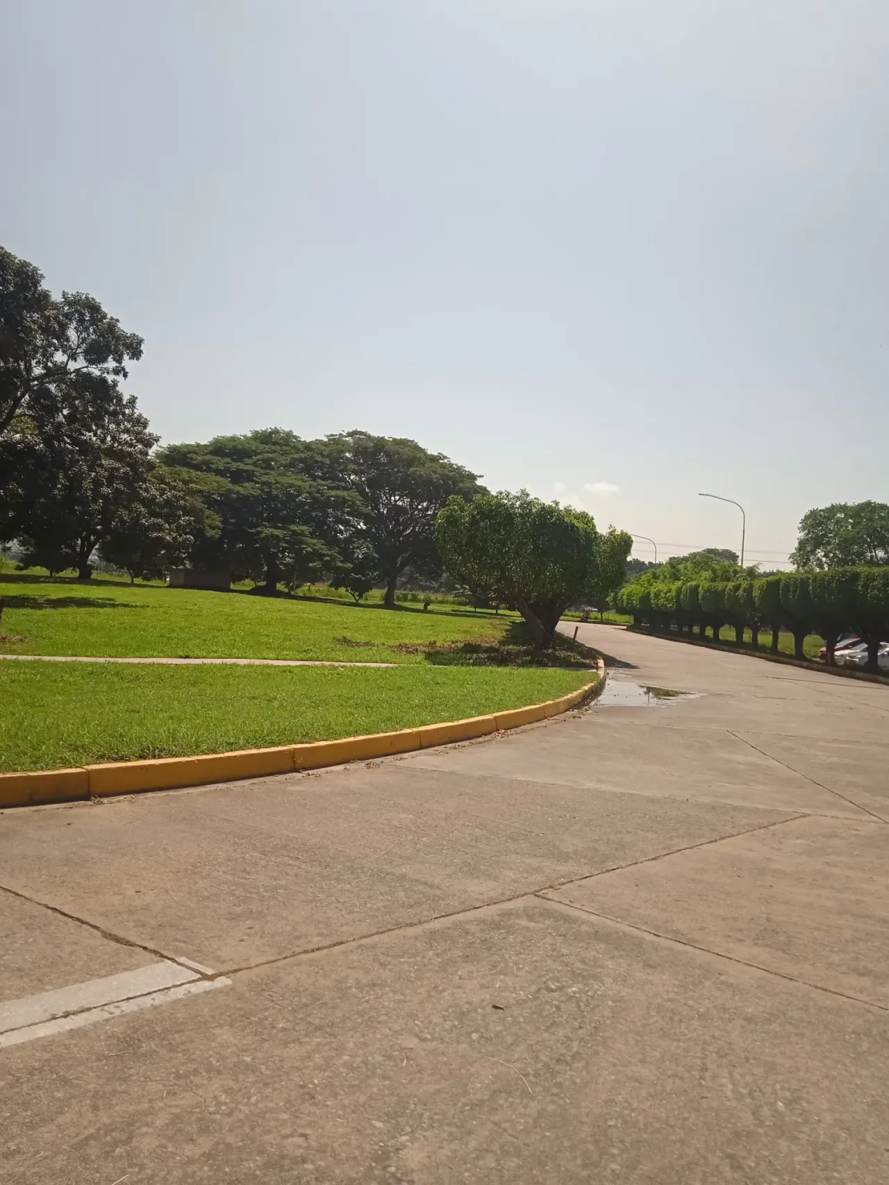 HdcezuLBeJlqPKSI_IMG_20240823_100039_1.webp