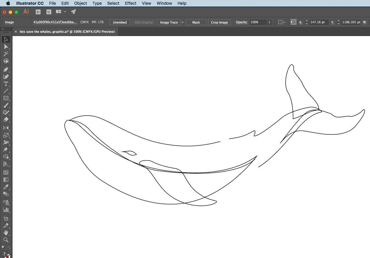 ballena en linea 1.jpg