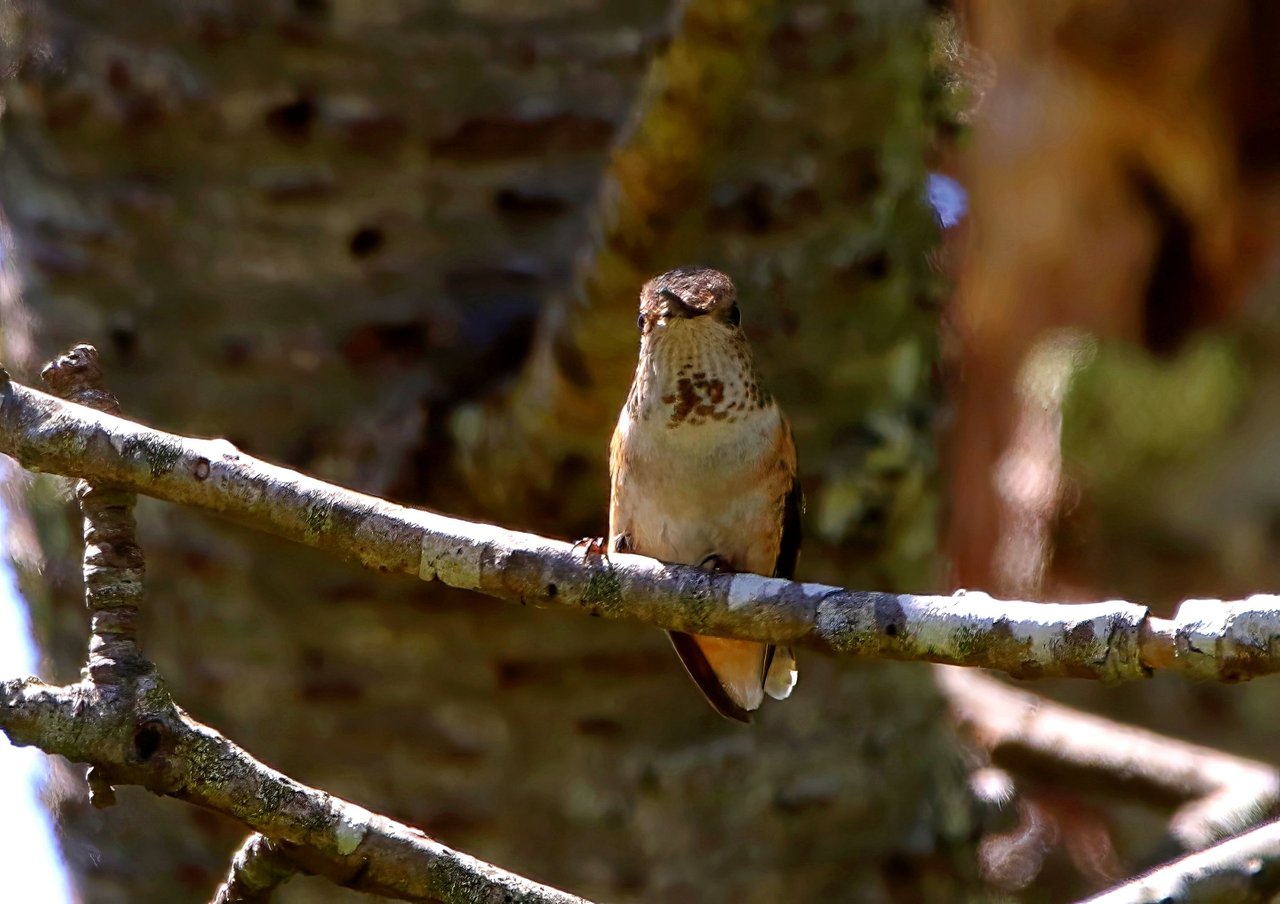 F57A3662-topaz-denoise-enhance-sharpen.jpg