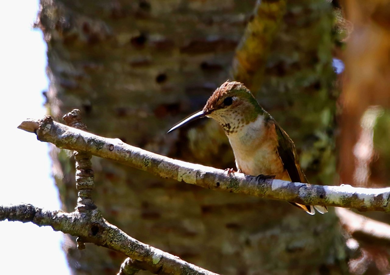 F57A3660-topaz-denoise-enhance-sharpen.jpg