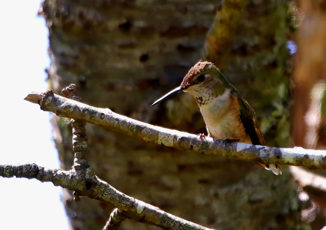 F57A3659-topaz-denoise-enhance-sharpen.jpg