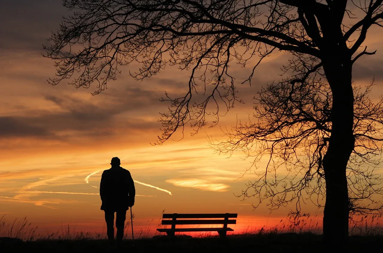 sunset-3156176_1280.webp