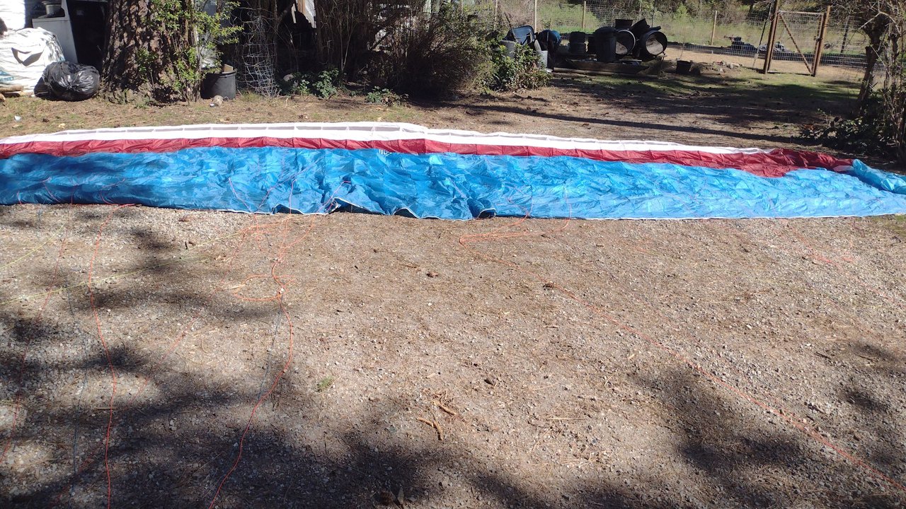 IMG_20250418_150418.jpg