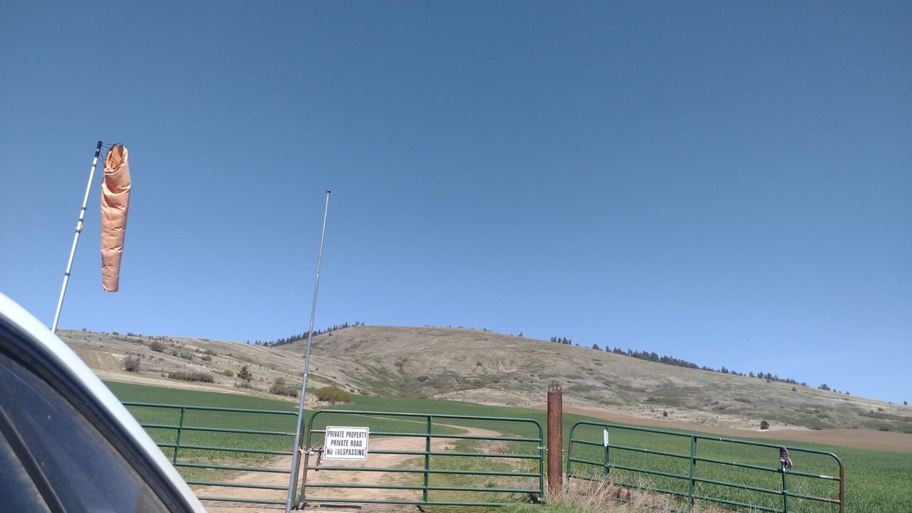 IMG_20250418_134229.jpg
