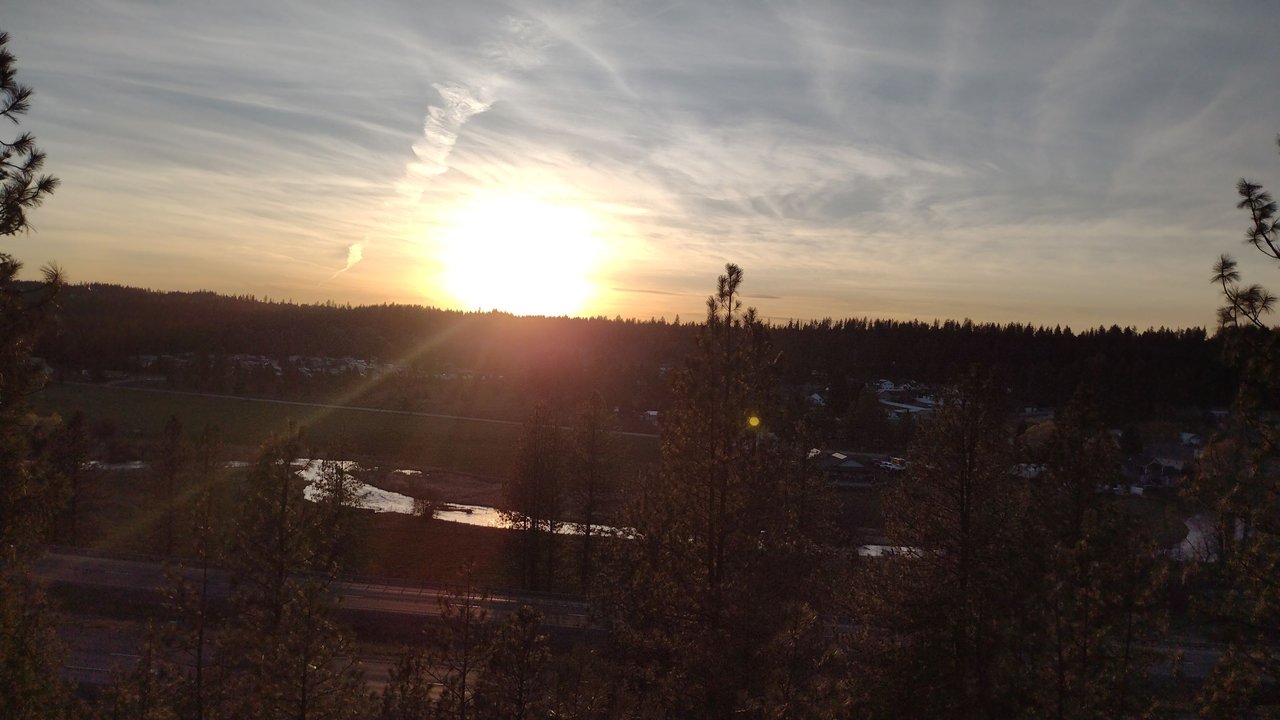 IMG_20250418_192041.jpg