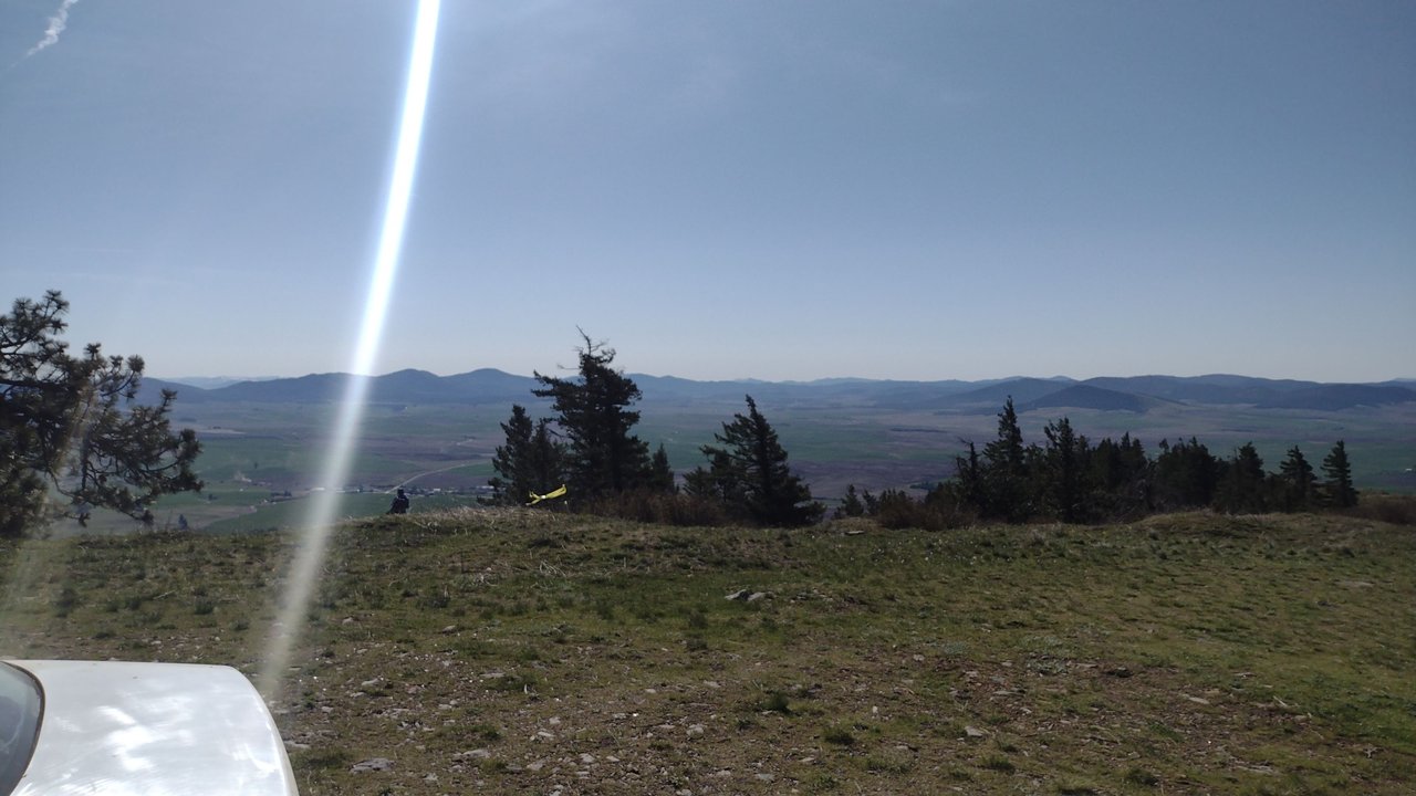 IMG_20250418_092426.jpg