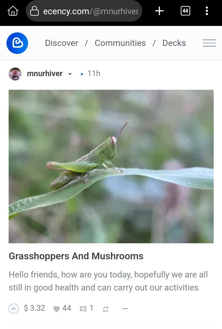1000011045.jpg