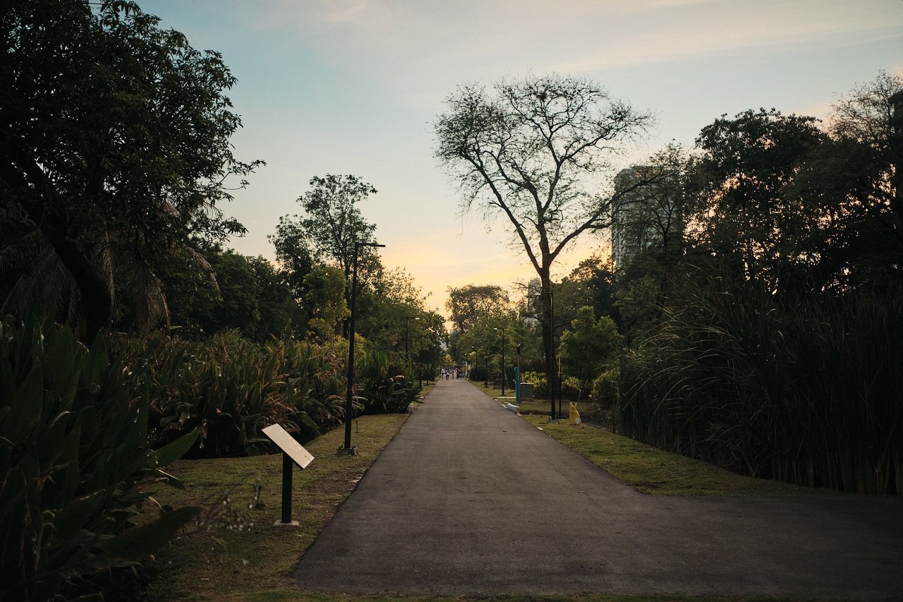 DSCF5360.jpg