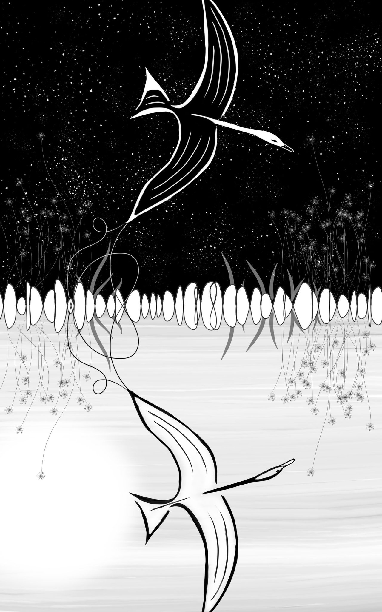 yinyang_night.jpg
