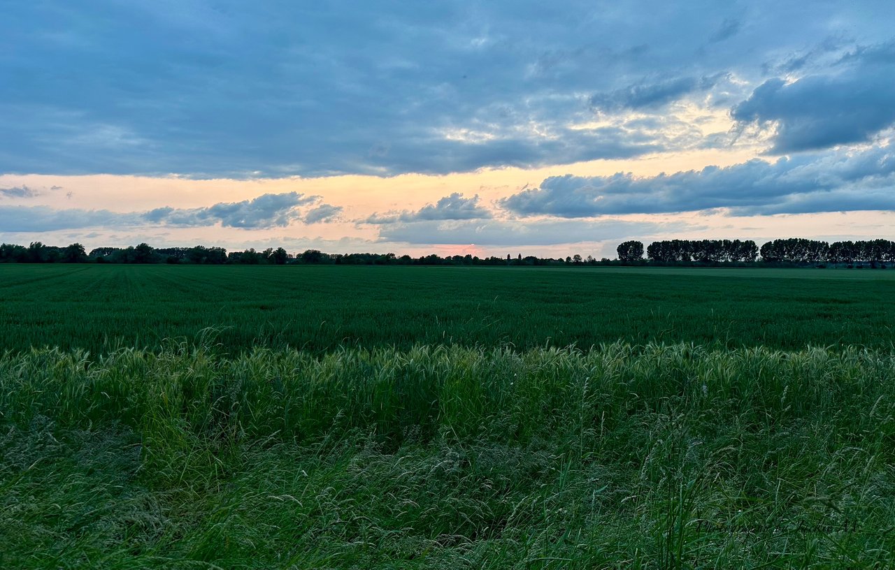 IMG_0064.jpeg