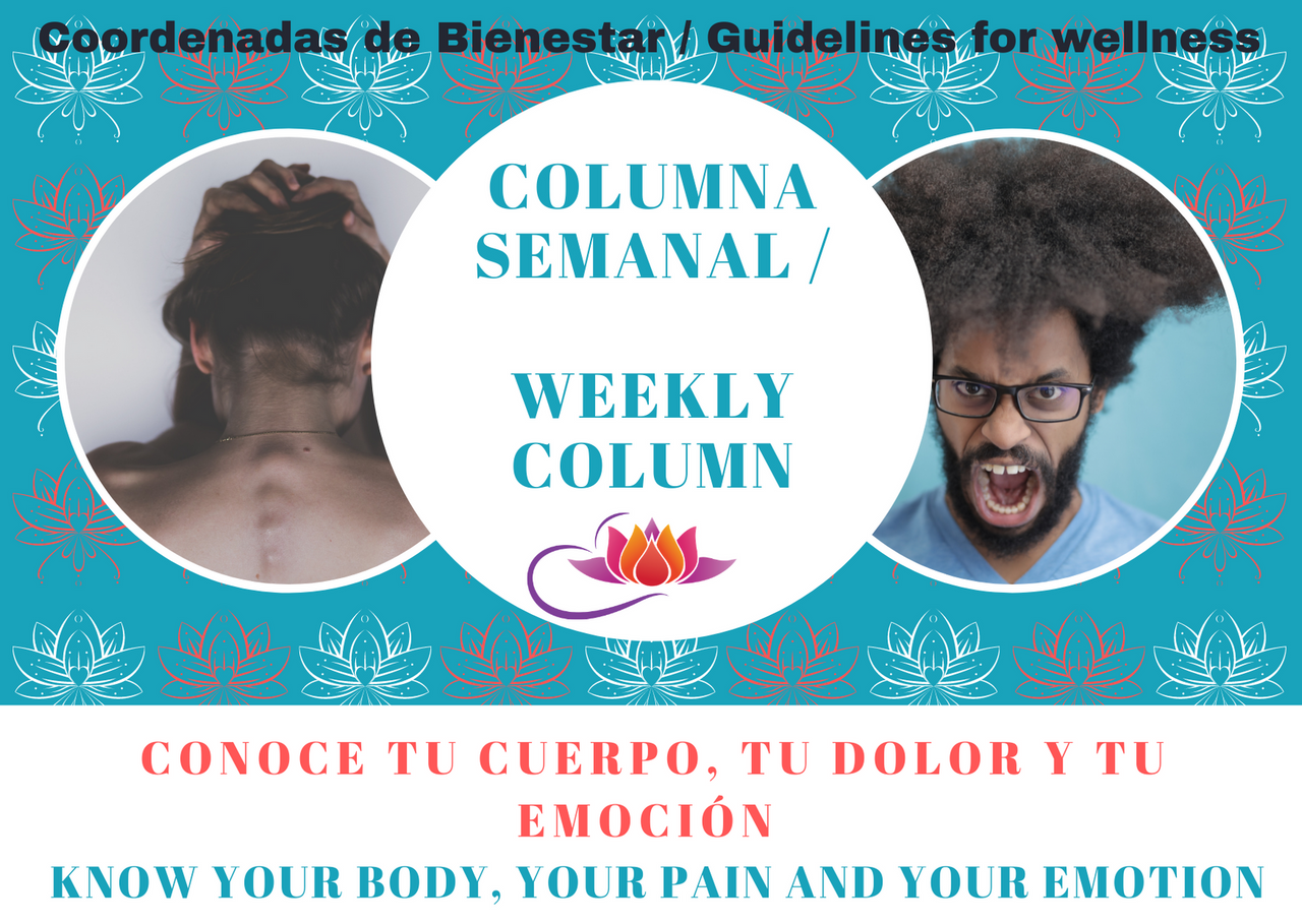 Cada emoción que sientes es real. Es verdad. Proviene directamente de la integridad de tu espíritu. No es posible fingir lo que sientes. Tal vez intentes justificar o reprimir tus emociones; tal vez intent (2).png