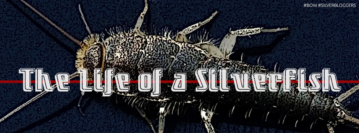 LifeOfASilverfish.jpg