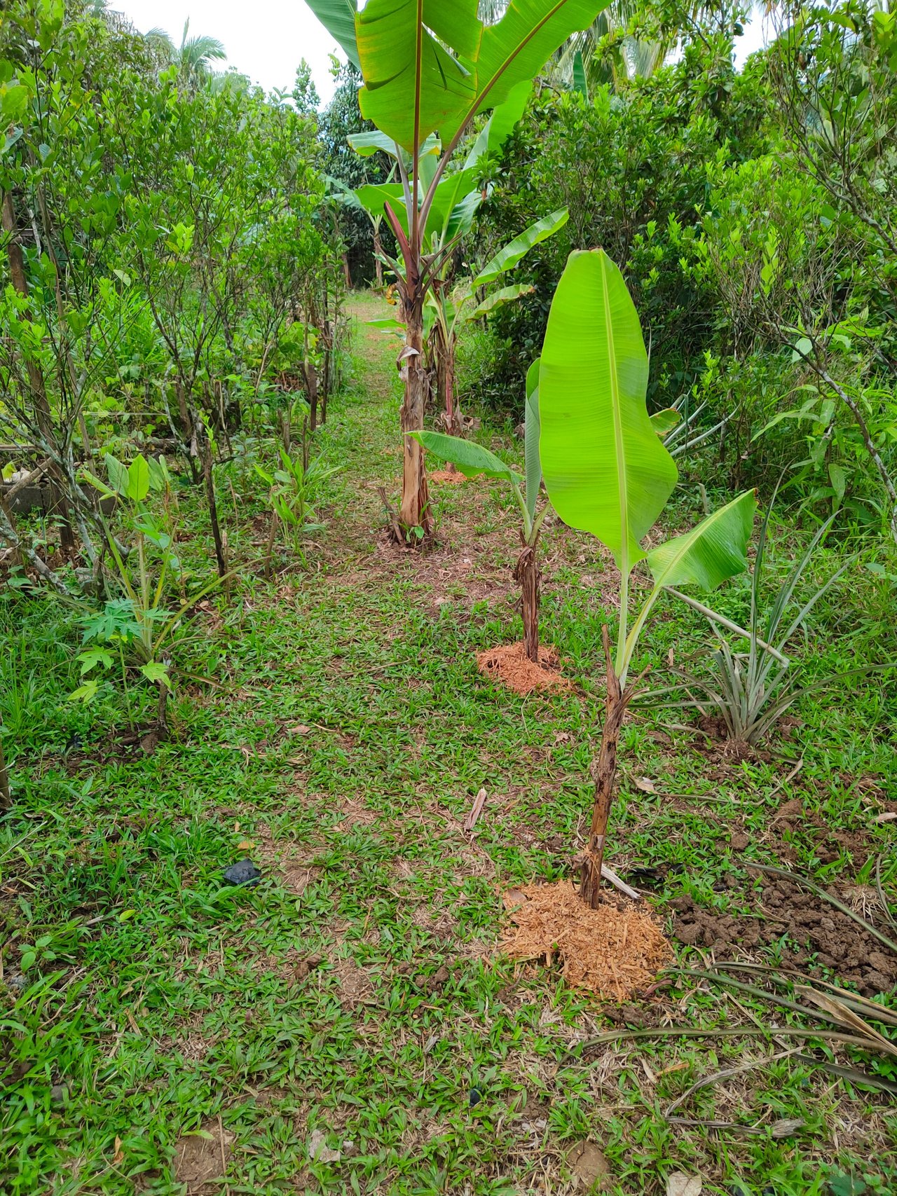 IMG20220904171715.jpg