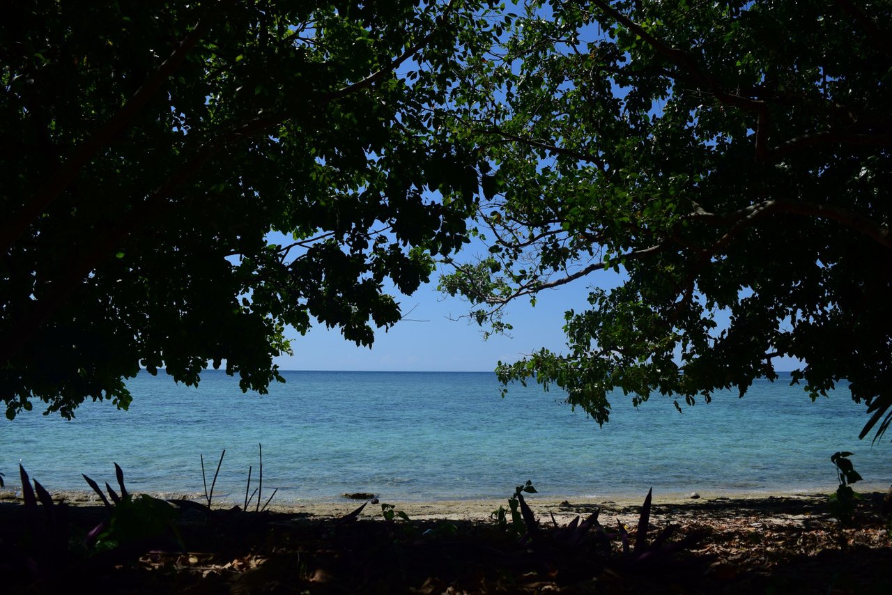 DSC_0933.JPG