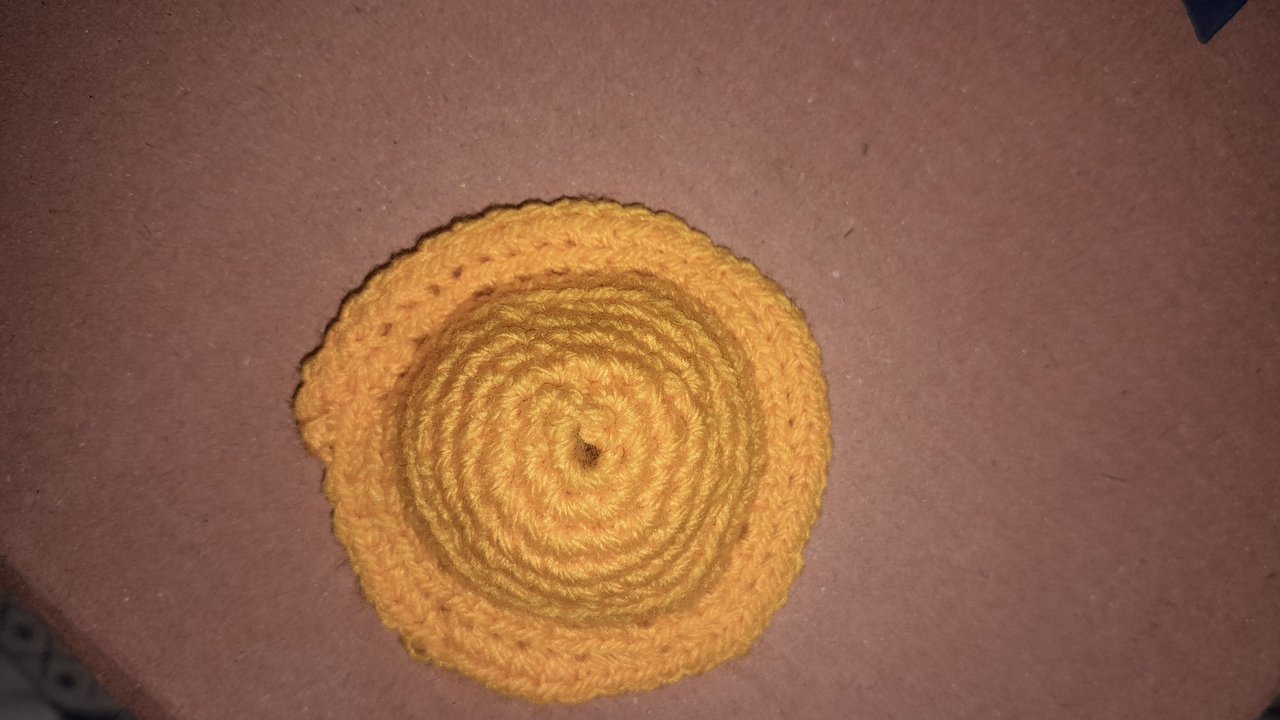 1000038074.jpg