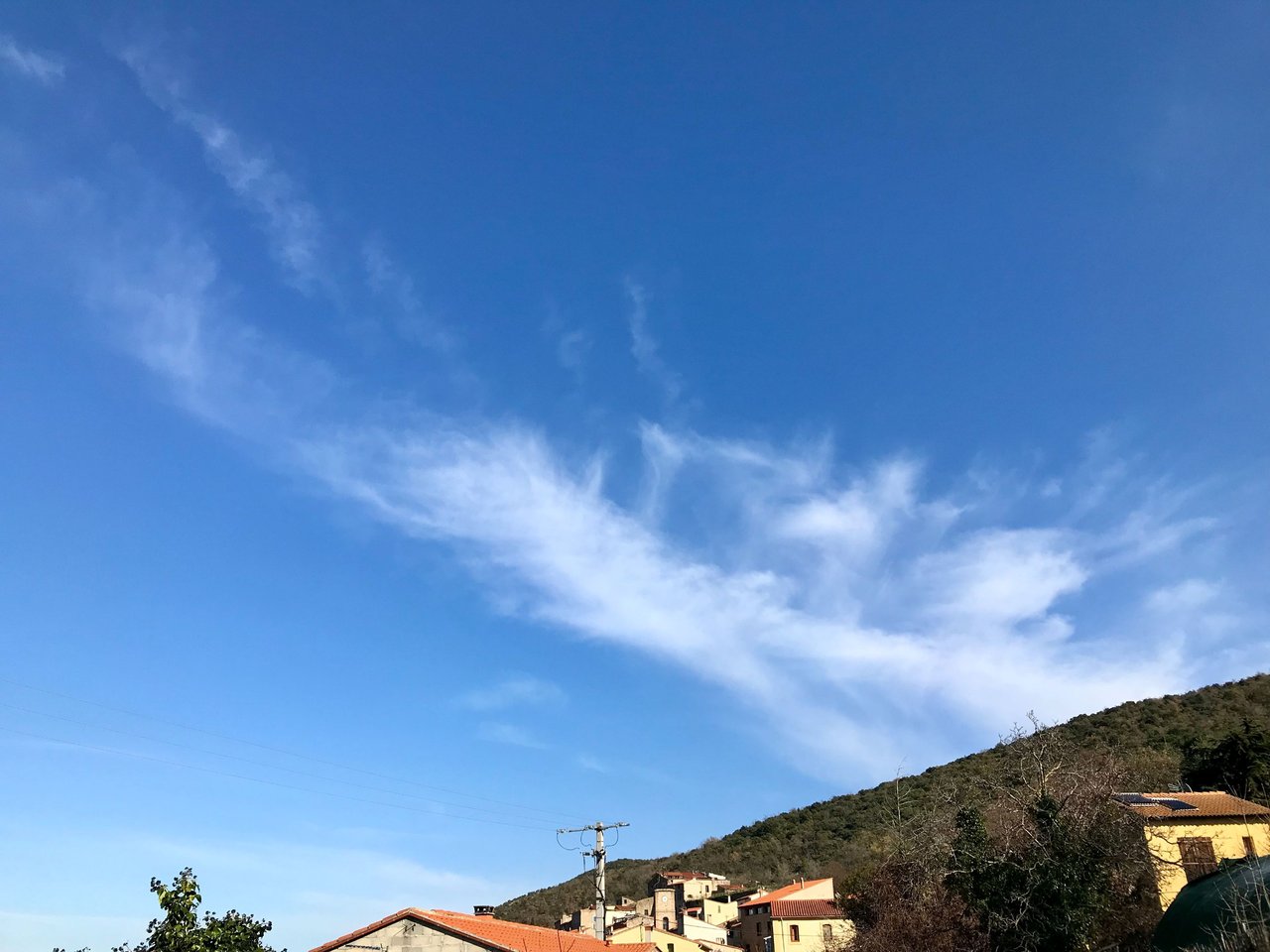 IMG_1394.jpeg