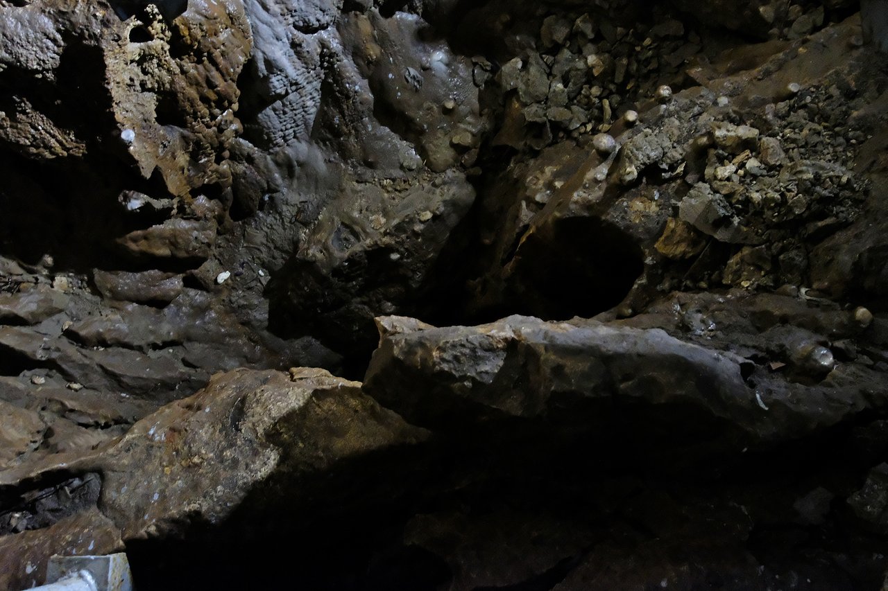 DSCF4583fsponorhive.JPG