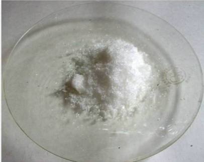 Imagen1.jpg