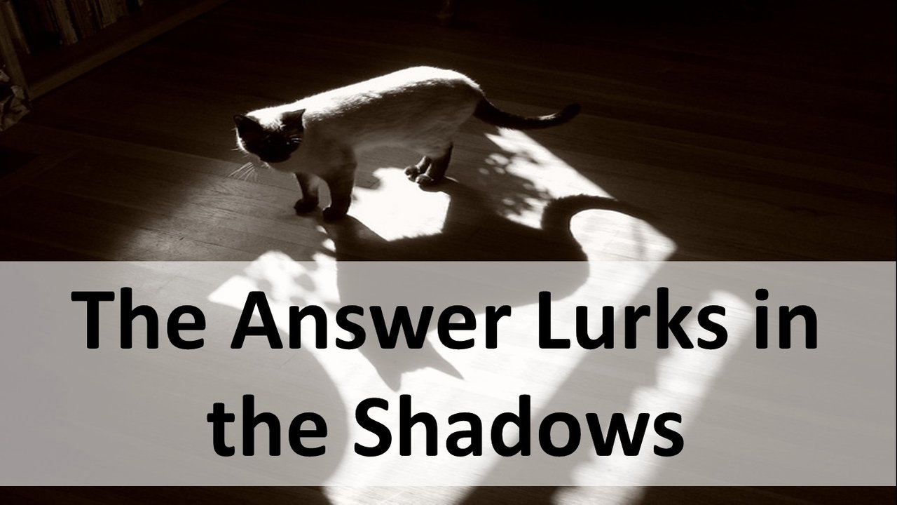 Shadow.jpg