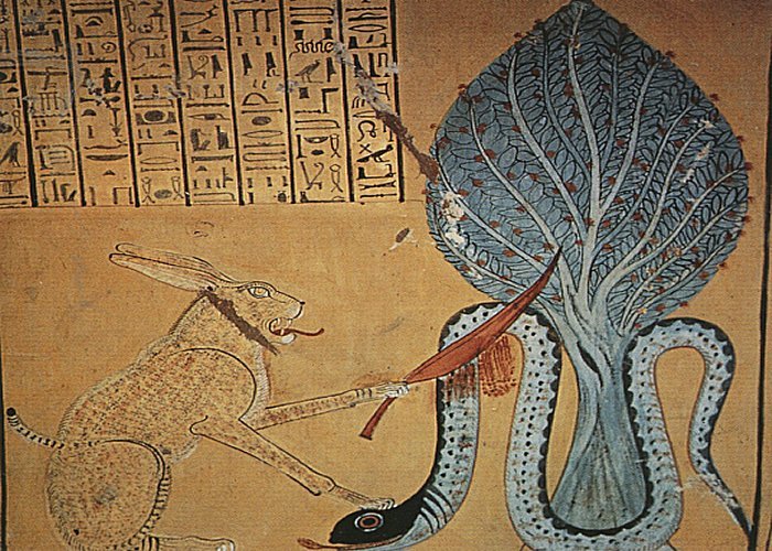 apophisapep12.jpg
