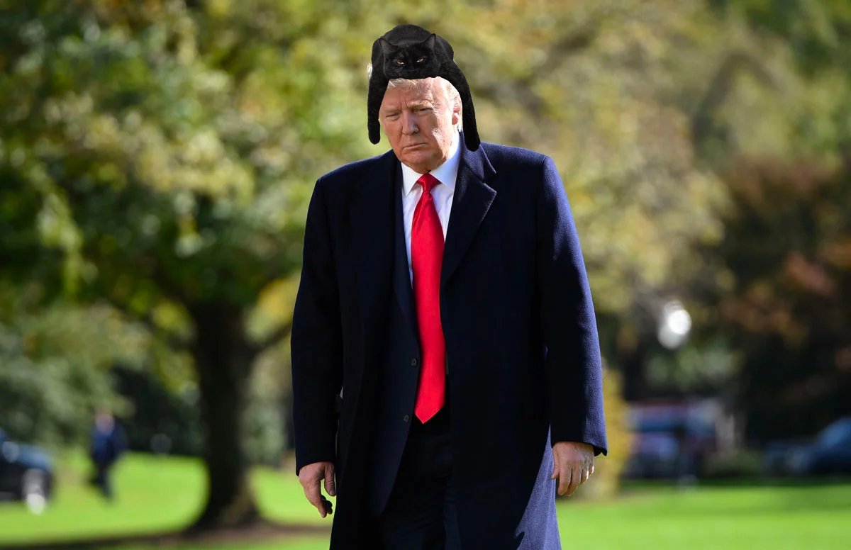 trump with cat on head.jpg