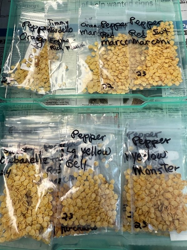 hivegarden-seeds-3.jpg