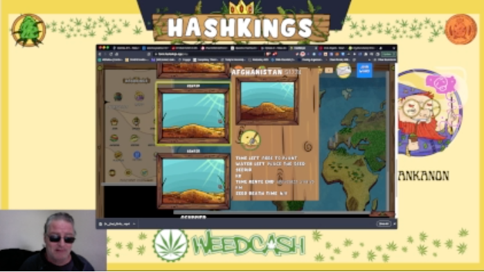 HashKings: Multiple Plantings Will be A Big Upgrade