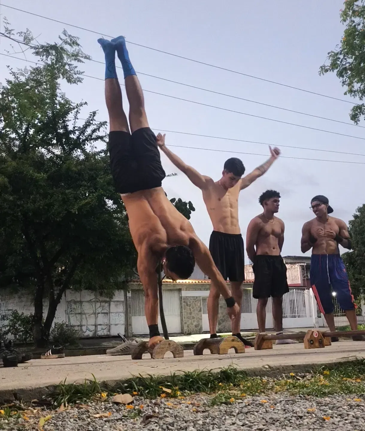 LpOICjoXc48jSdfg_1001034197.webp
