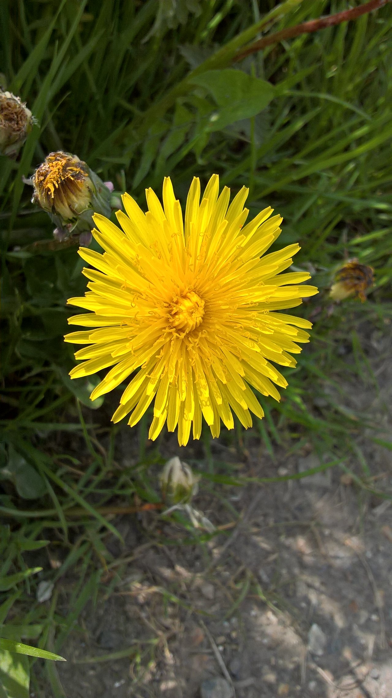 WP_20180508_13_03_33_Pro.jpg