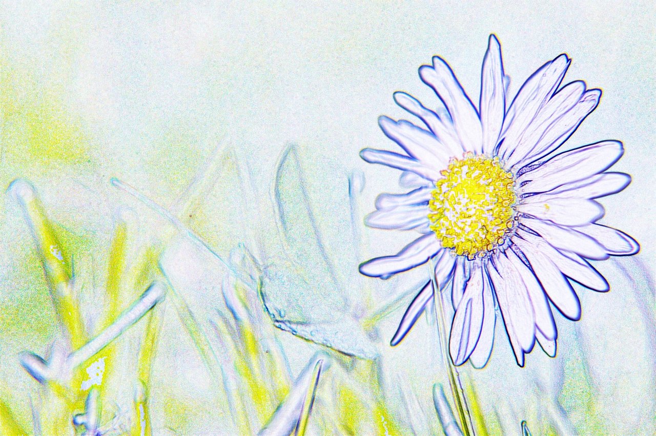 08May13_930_color_pencil_leveled_1600.JPG