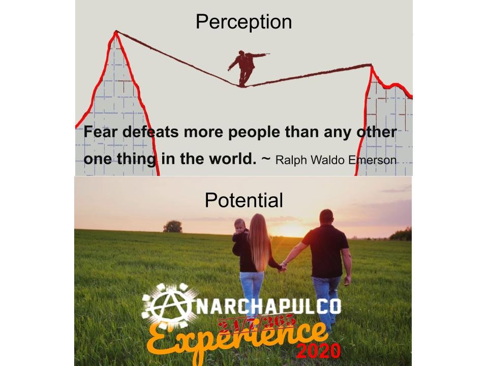 Perception Potential Experience.jpg