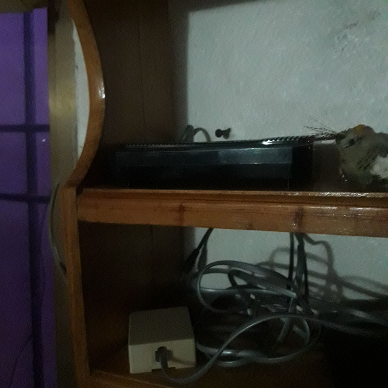 20221128_175152.jpg