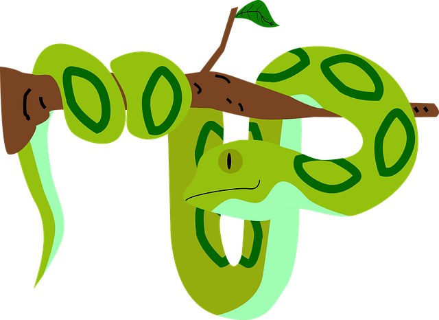 snake-g410a58693_640.png