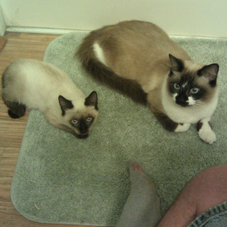 Sammi & Jax.jpg
