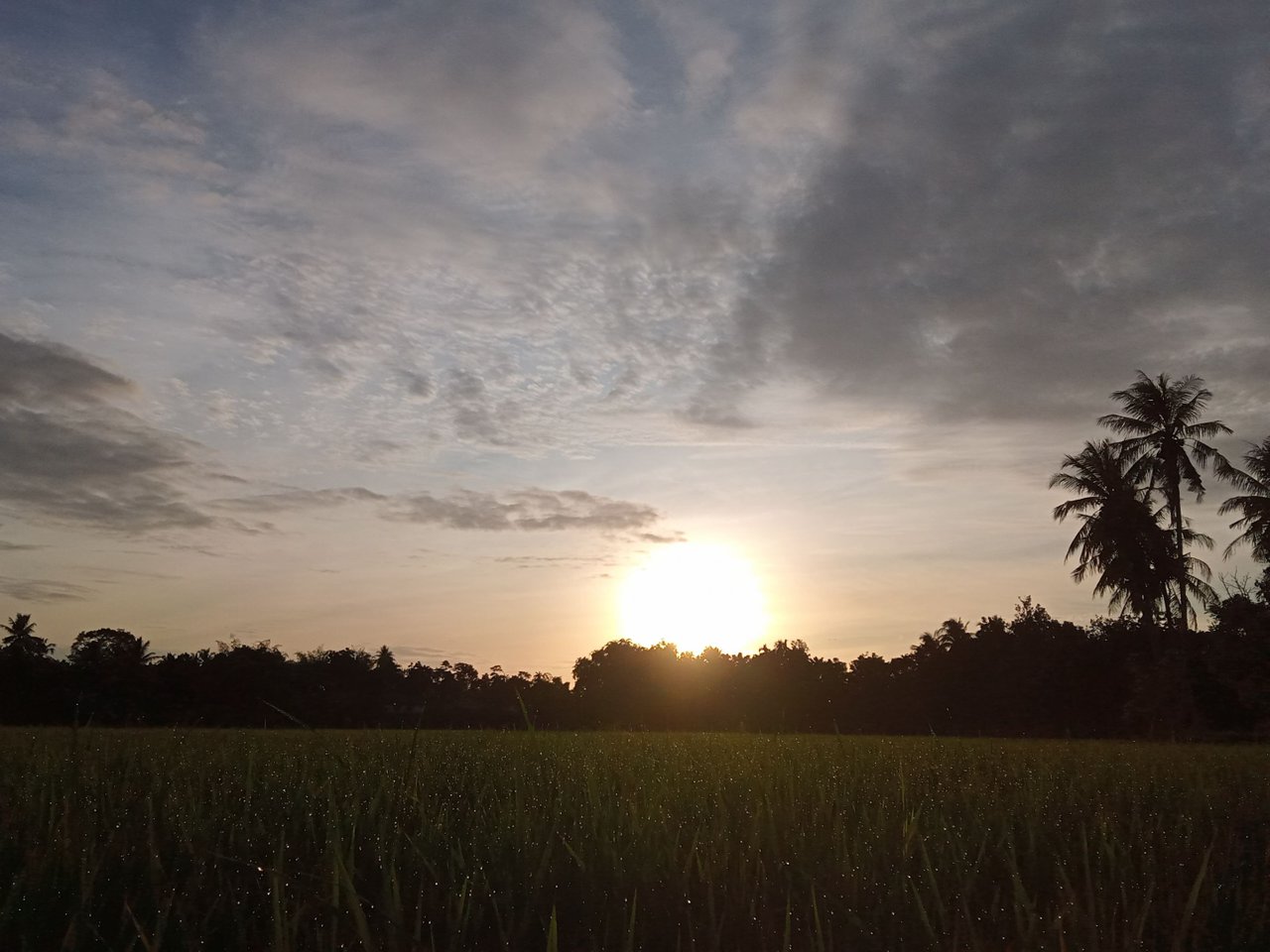 IMG20220829065305.jpg
