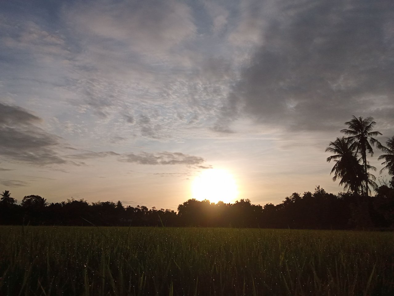 IMG20220829065302.jpg