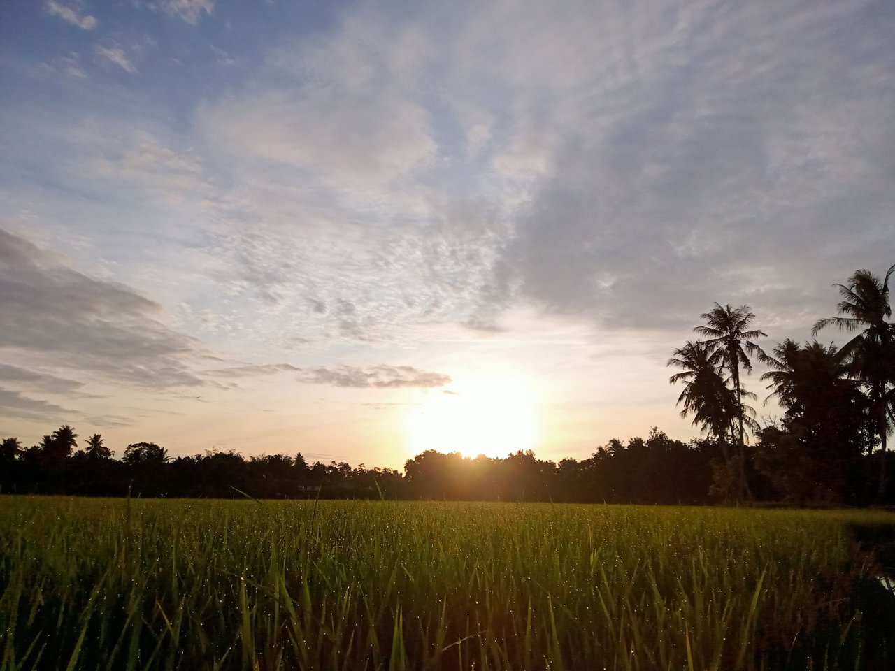 IMG20220829065311.jpg