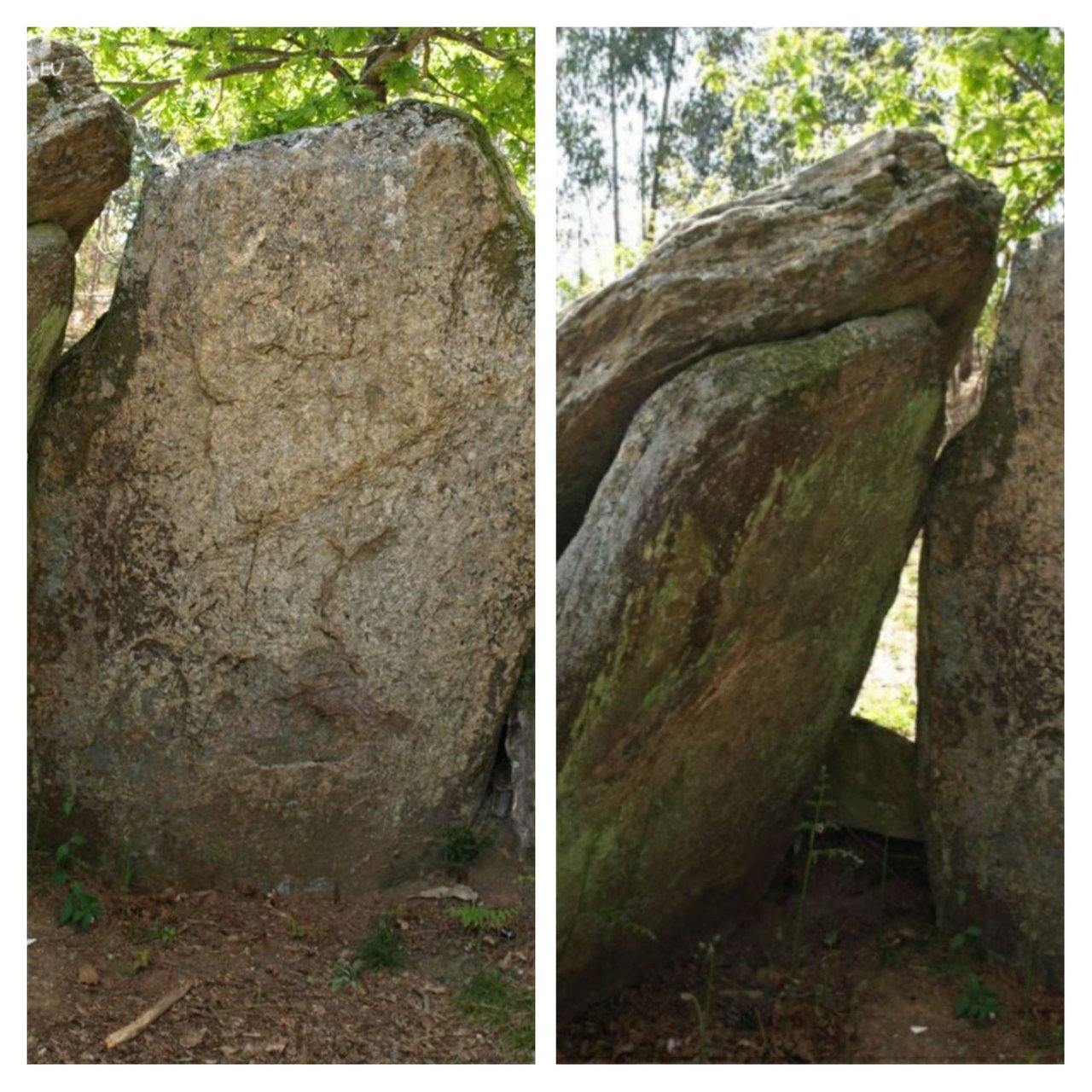 GridArt_20220504_134139316.jpg