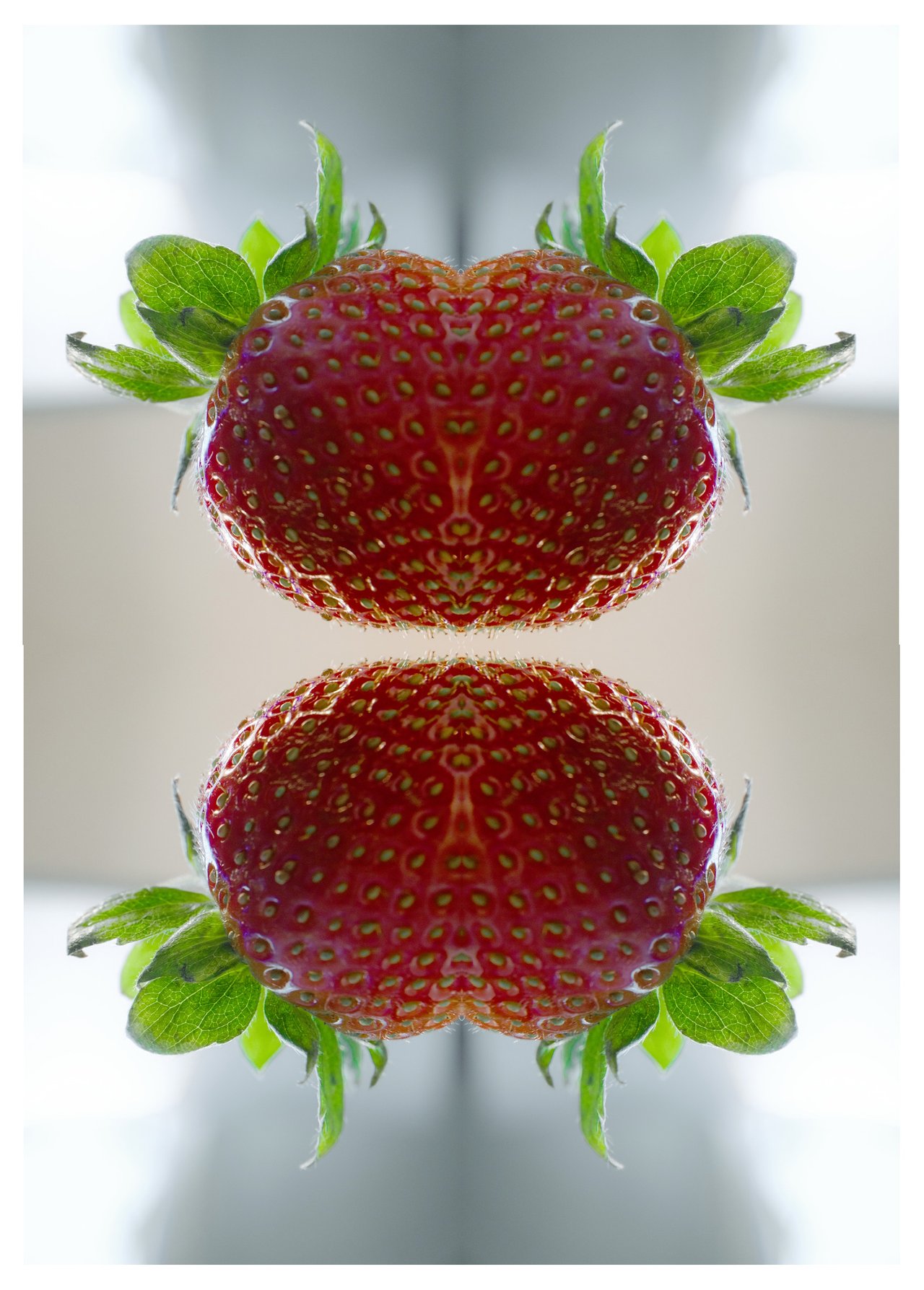 strawberry2.jpg