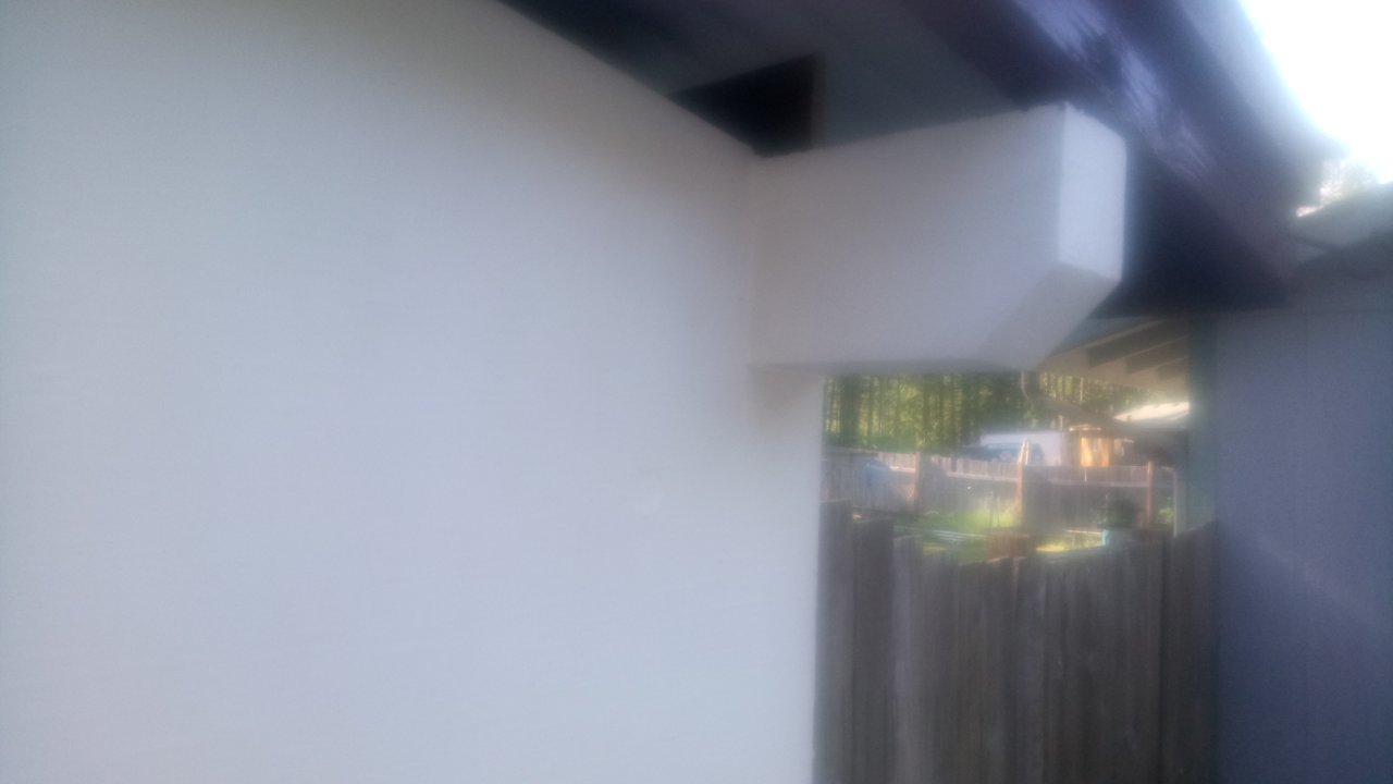 2018-05-31 Thu Paint JA LMS DSC_0009.JPG