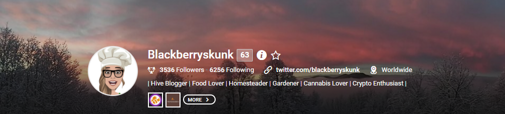 blackberryskunk profile.png