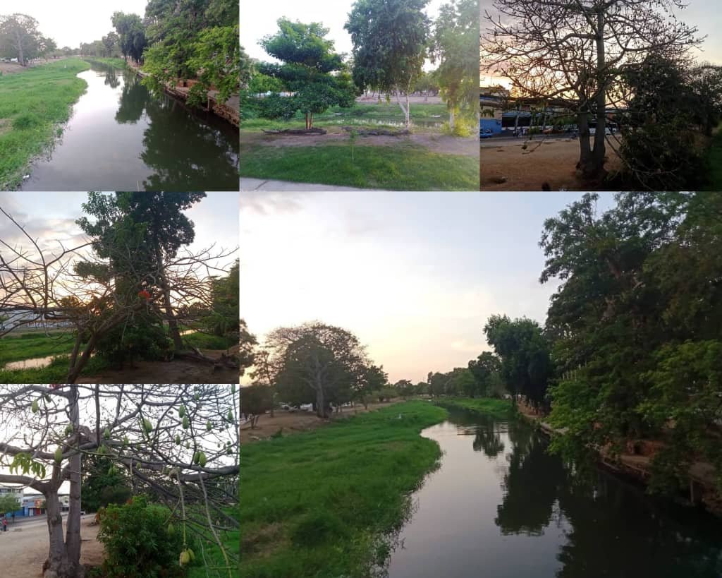 nature.jpeg