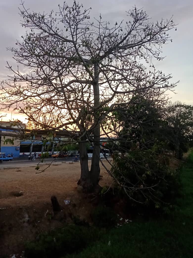 naturalezaasombrosa (7).jpeg