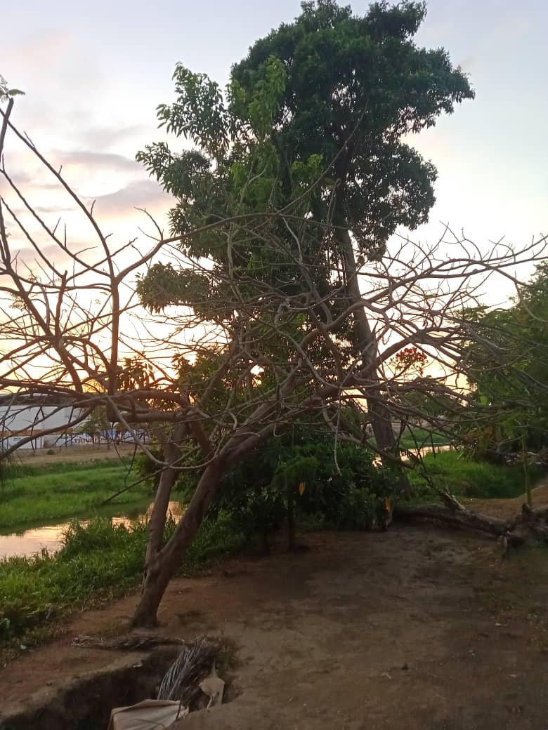 naturalezaasombrosa (2).jpeg