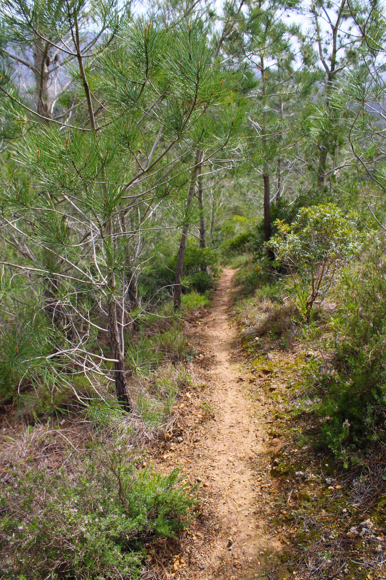 IMG_8867.JPG