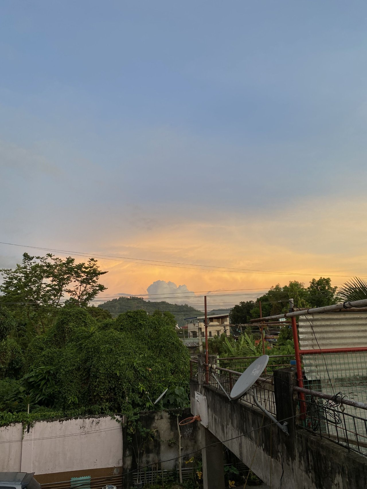 IMG_2169.jpg