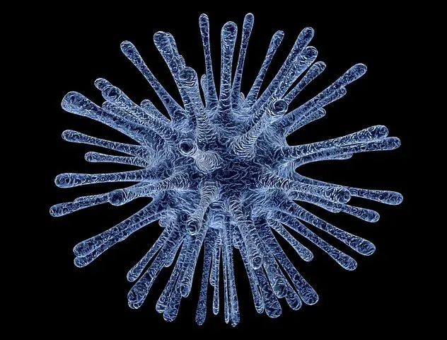 virus-213708__480.webp