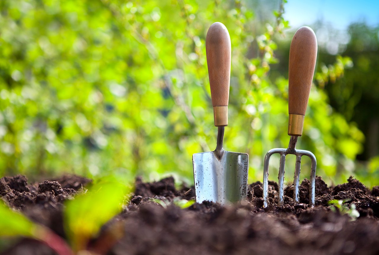 gardeningtoolssoil.jpg