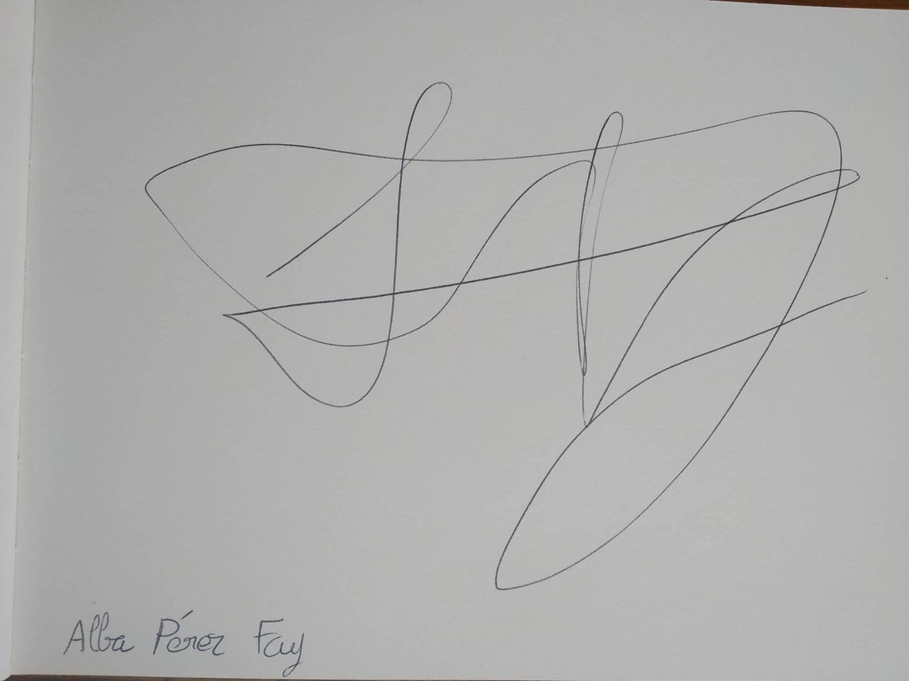 dibujo385A.jpg