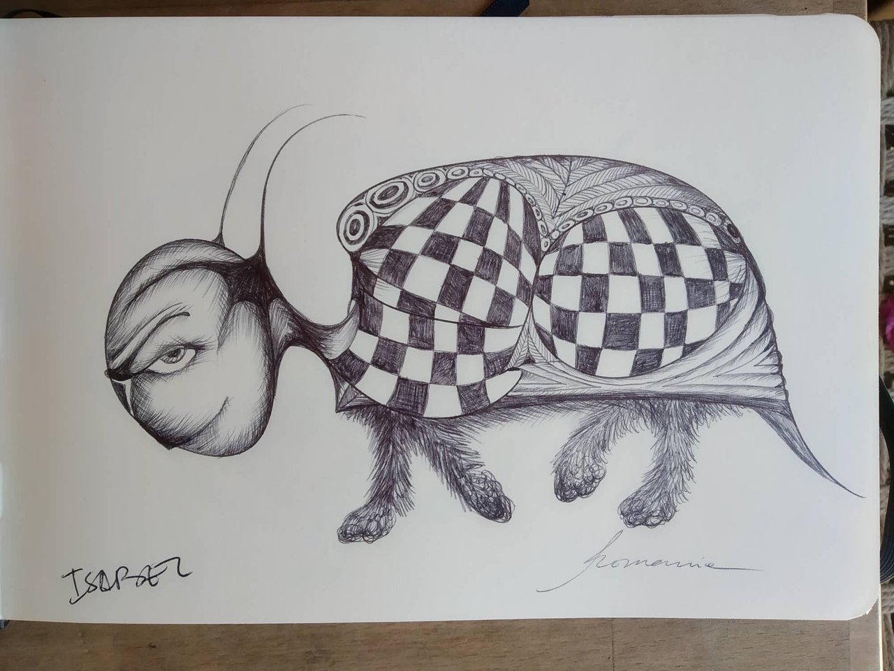 dibujo272B.jpg